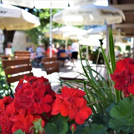 Hotel Zum Braeu Kinding